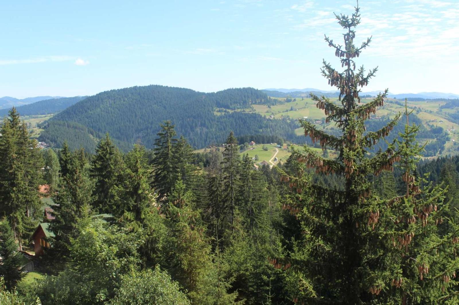 Nova Varoš In Hotel Zlatar Ex Zlatarski Biseri מראה חיצוני תמונה