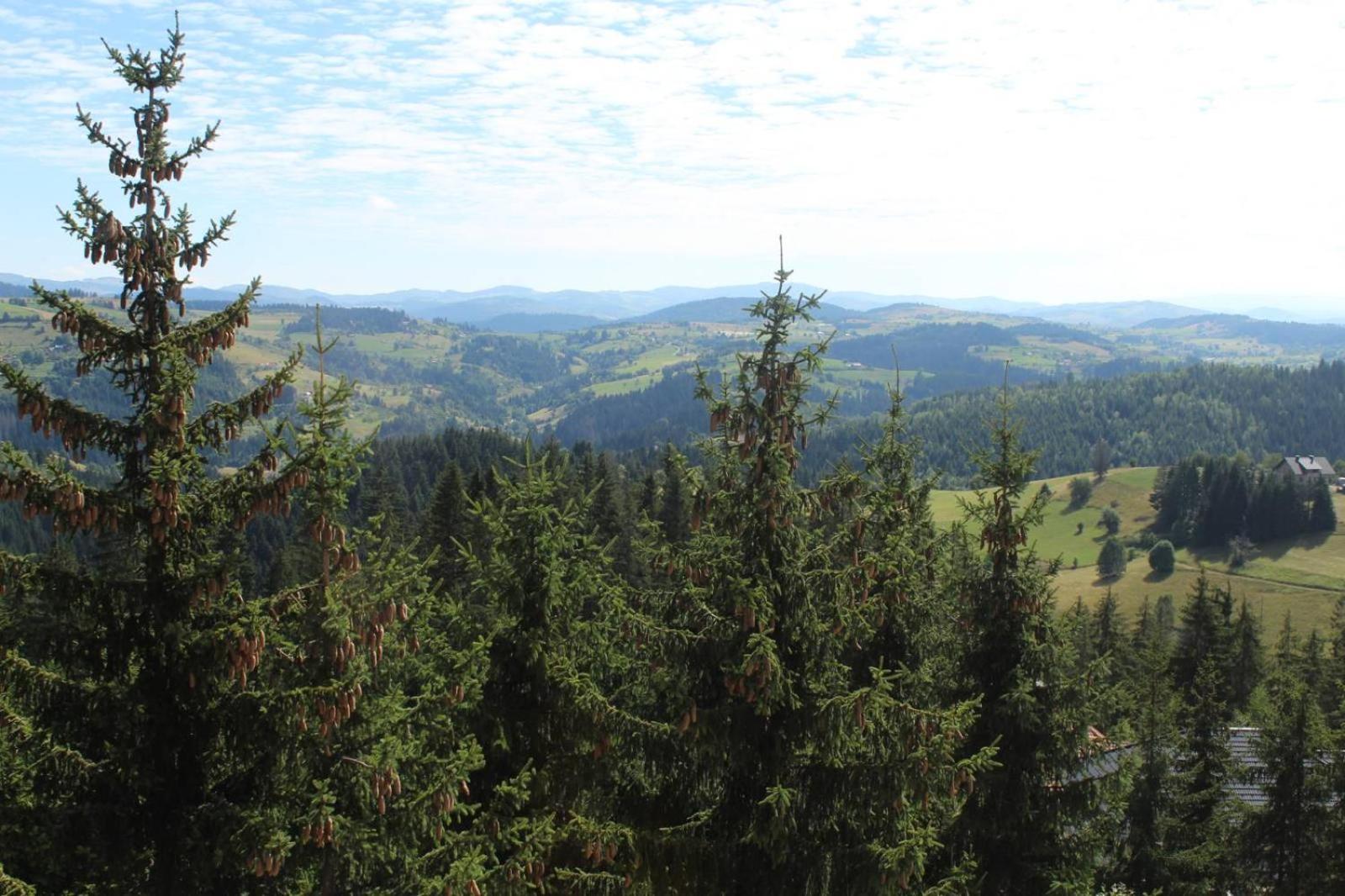 Nova Varoš In Hotel Zlatar Ex Zlatarski Biseri מראה חיצוני תמונה