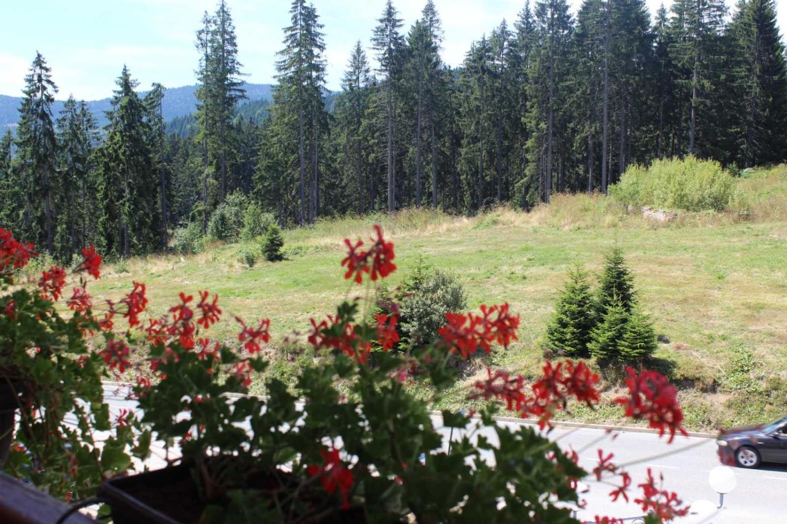 Nova Varoš In Hotel Zlatar Ex Zlatarski Biseri מראה חיצוני תמונה